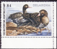 Scan of 1993 Oklahoma Duck Stamp MNH VF