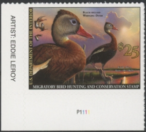 Scan of RW87 2020 Duck Stamp  MNH VF