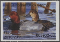 Scan of 2010 California Duck Stamp MNH VF