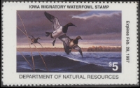 Scan of 1996 Iowa Duck Stamp MNH VF
