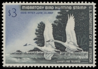 Scan of RW33 1966 Duck Stamp  MLH F-VF