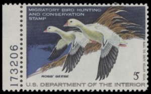 Scan of RW44 1977 Duck Stamp  MNH F-VF