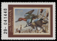 Scan of 1990 Montana Duck Stamp MNH VF