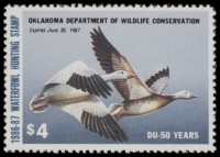 Scan of 1986 Oklahoma Duck Stamp MNH VF
