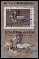 Scan of RW74B 2007 Duck Stamp 