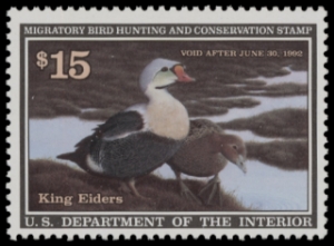 Scan of RW58 1991 Duck Stamp  MNH F-VF