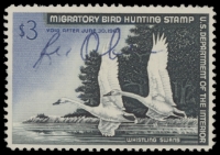 Scan of RW33 1966 Duck Stamp  Used F-VF