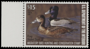 Scan of RW74 2007 Duck Stamp  MNH F-VF