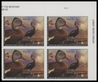 Scan of RW87 2020 Duck Stamp  MNH F-VF