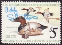 Scan of RW42 1975 Duck Stamp Used, Full Gum F-VF