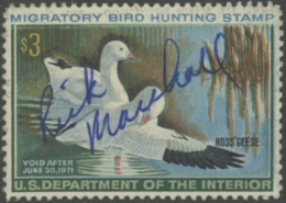 Scan of RW37 1970 Duck Stamp  Used F-VF