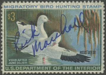 Scan of RW37 1970 Duck Stamp  Used F-VF