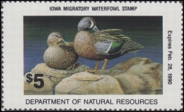 Scan of 1989 Iowa Duck Stamp