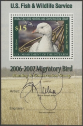 Scan of RW73B 2006 Duck Stamp  MNH F-VF