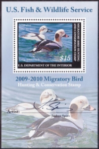 Scan of RW76B 2009 Duck Stamp MNH VF