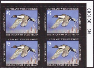 Scan of JDS20 2012 Junior Duck Stamp PB MNH VF