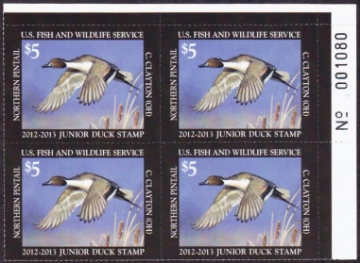 Scan of JDS20 2012 Junior Duck Stamp PB MNH VF