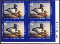Scan of JDS19 2011 Junior Duck Stamp MNH VF
