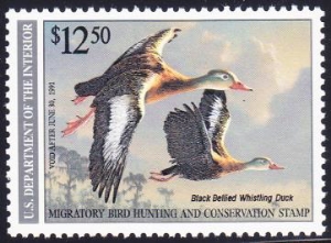 Scan of RW57 1990 Duck Stamp  MNH XF-SUP