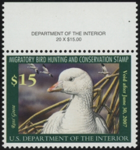 Scan of RW73 2006 Duck Stamp  MNH F-VF