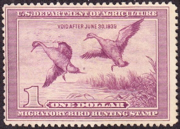 Picture of RW5 1938 Duck Stamp  Unsigned Fine