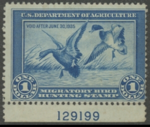 Scan of RW1 1934 Duck Stamp  Unsigned, NG Fine