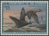 Scan of RW63 1996 Duck Stamp Grade 98 MNH Sup 98