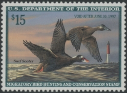 Scan of RW63 1996 Duck Stamp Grade 98 MNH Sup 98