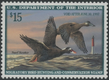 Scan of RW63 1996 Duck Stamp Grade 98 MNH Sup 98