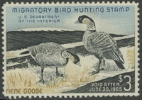 Scan of RW31 1964 Duck Stamp  MLH VF