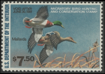 Picture of RW47 1980 Duck Stamp  MNH F-VF
