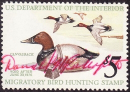 Scan of RW42 1975 Duck Stamp  Used F-VF