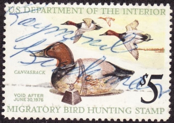 Scan of RW42 1975 Duck Stamp  Used F-VF