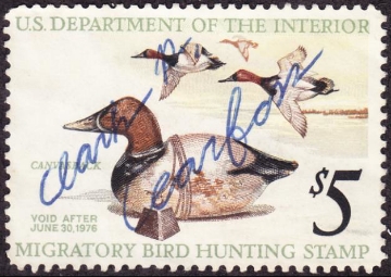 Scan of RW42 1975 Duck Stamp  Used F-VF