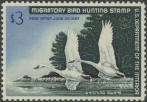 Scan of RW33 1966 Duck Stamp  MNH VF - XF