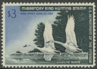 Scan of RW33 1966 Duck Stamp  MNH F - VF