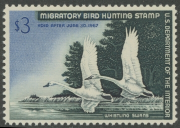 Picture of RW33 1966 Duck Stamp  MNH F - VF