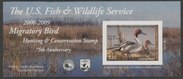 Scan of RW75A 2008 Duck Stamp  MNH VF