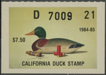 Picture of 1984 California Duck Stamp MNH VF
