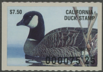 Picture of 1986 California Duck Stamp MNH VF