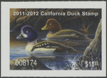 Scan of 2011 California Duck Stamp MNH VF