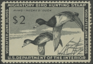 Scan of RW21 1954 Duck Stamp  Unsigned F-VF