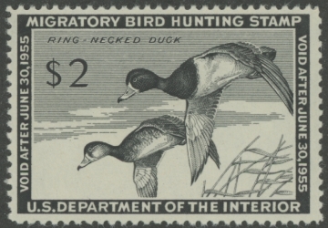 Picture of RW21 1954 Duck Stamp  MNH F-VF