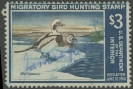 Scan of RW34 1967 Duck Stamp  Used Fine