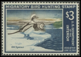 Scan of RW34 1967 Duck Stamp  MNH VF