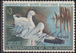 Scan of RW37 1970 Duck Stamp  Used F-VF