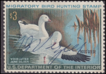 Scan of RW37 1970 Duck Stamp  Used F-VF