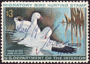 Scan of RW37 1970 Duck Stamp  Used VF