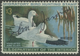 Scan of RW37 1970 Duck Stamp  Used F-VF