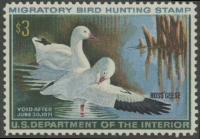 Scan of RW37 1970 Duck Stamp  MNH VF - XF